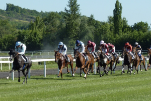 How do contenders qualify for the Kentucky Derby